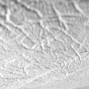 Meet your Posher, Annabel